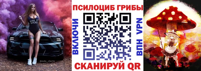 как найти закладки MEGA как зайти Галлюциногенные грибы мухоморы Галич